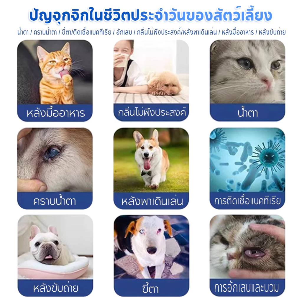Pet Record ผ้าเช็ดทำความสะอาดสัตว์เลี้ยง 80 แผ่น thumbnail 3