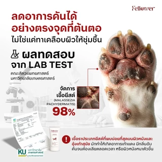 Fellower ครีมทาอุ้งเท้าสุนัข 3in1 ดูแลอุ้งเท้าแดง คัน เลียเท้า ยีสต์ ซึมไว ไม่เหนียว ปลอดภัยเลียได้ Paw Cream 50ml