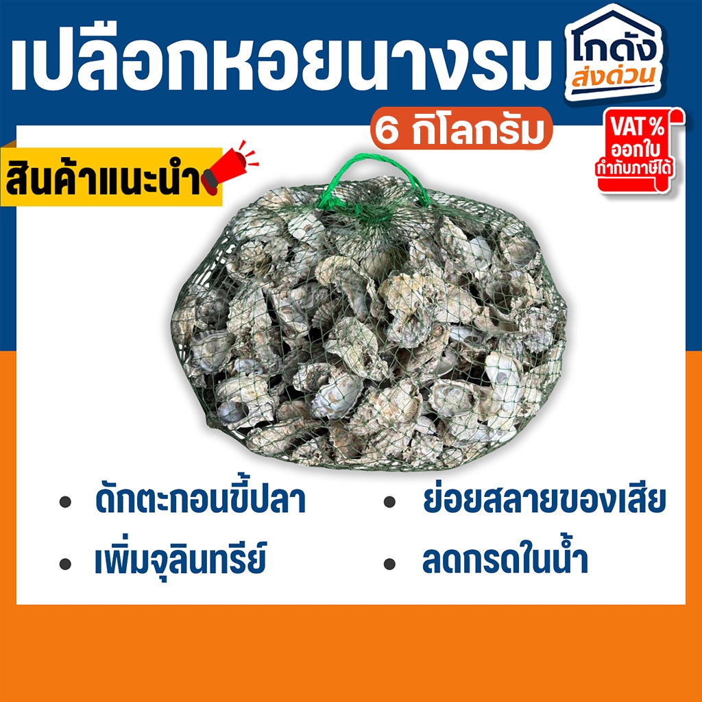 เปลือกหอย ใส่ถุงอวนทะเล พร้อมใช้งาน
