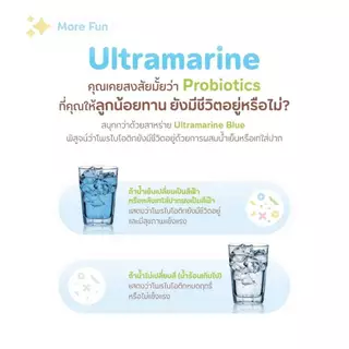 Little Monster Happy Set | Little Lacto Probiotic + Calci Buddy | เสริมภูมิคุ้มกันและแคลเซียม