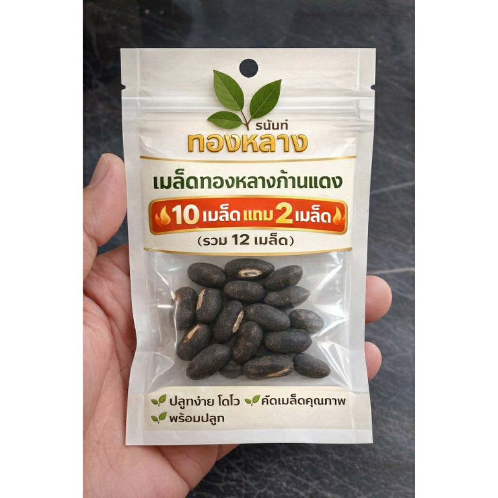 เมล็ดทองหลางก้านแดง 10 เมล็ด แถม 2 | ปลูกง่าย งอกไว โตเร็ว คัดคุณภาพ พร้อมปลูก