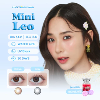 คอนแทคเลนส์ Mini Leo Brown / Gray (Lovely) ขนาดมินิ 💙