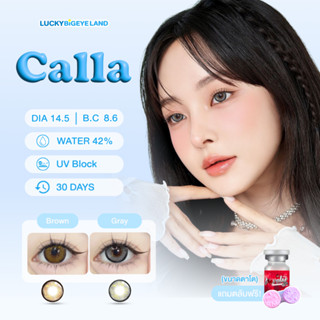คอนแทคเลนส์ Calla Brown / Gray (Lovelylens) ขนาดบิ๊กอาย 🌷 เล…