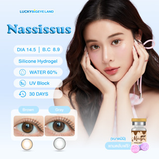 รุ่นเก้า เลนส์ซิลิโคนไฮโดรเจล ⭐️ คอนแทคเลนส์ Nassissus Brown…