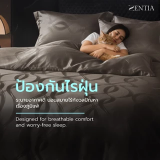 ZENTIA ชุดผ้าปู + ผ้านวม ผ้าแพรพรีเมี่ยมทอลายริ้ว ลื่นเย็นสบายทุกสัมผัส กันไรฝุ่นรุ่น NC
