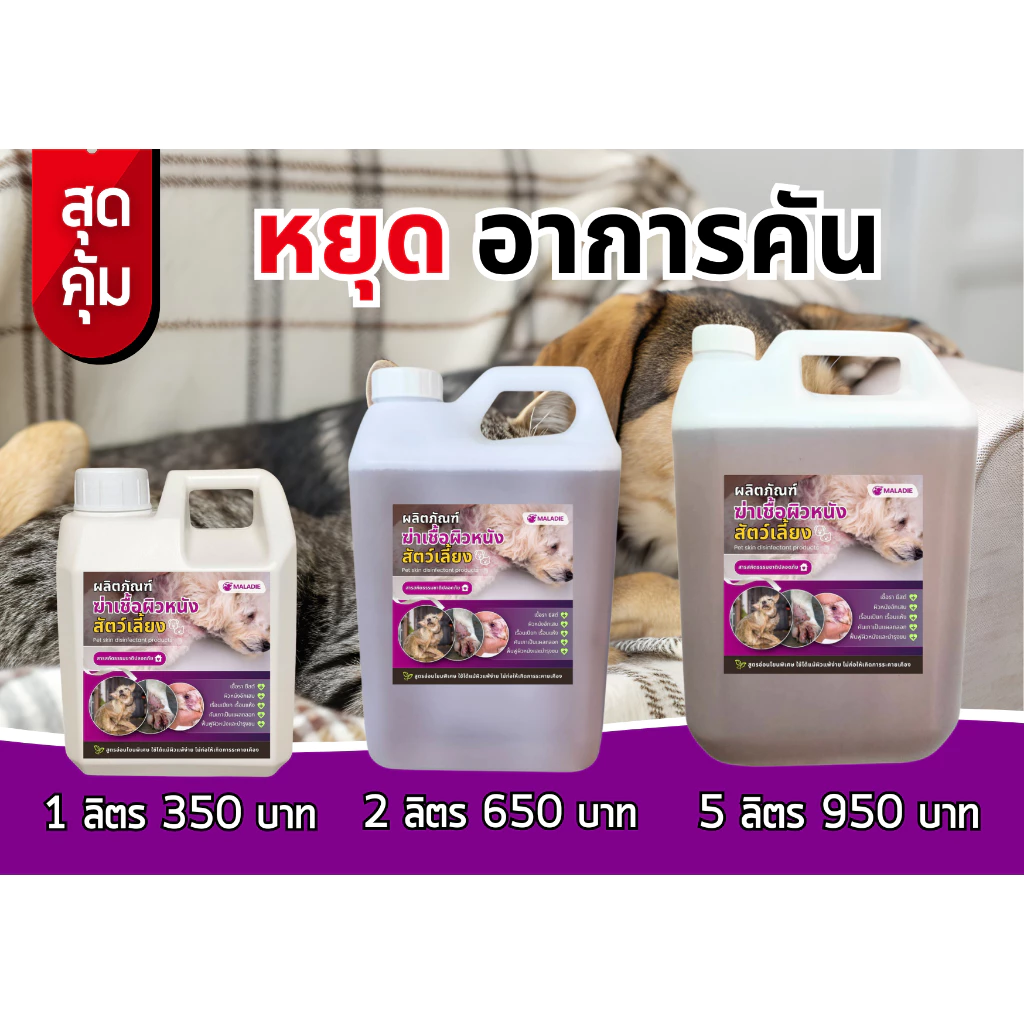 𝗠𝗔𝗟𝗔𝗗𝗜𝗘 สมุนไพรลดอาการคัน กำจัดเชื้อรา ตัวช่วยลดอาการคัน ลดขนร่วง หมาผิวหนัง แก้หมาขี้เรื้อน ปลอดภัยกับสัตว์เลี้ยง