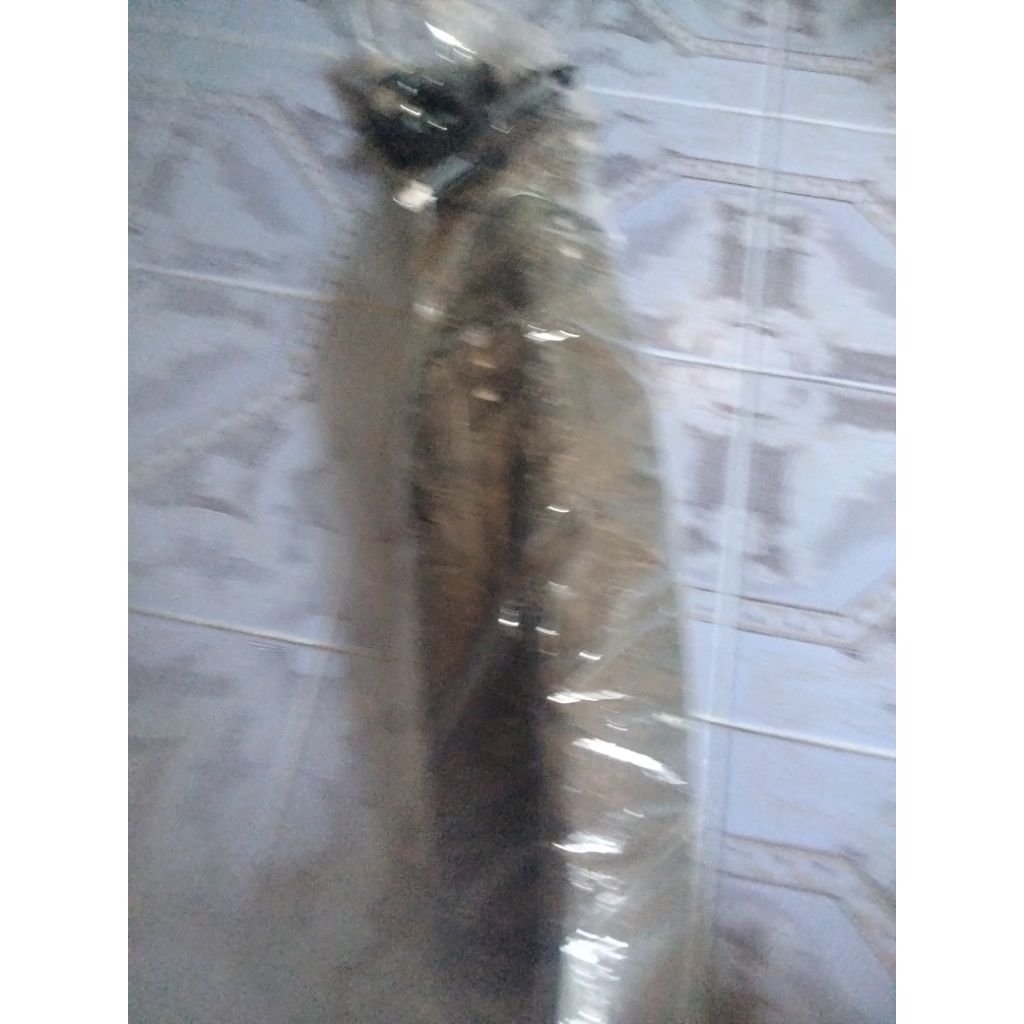 บังโคลนจักรยานcoyote24นิ้วพร้อมมือเบรค