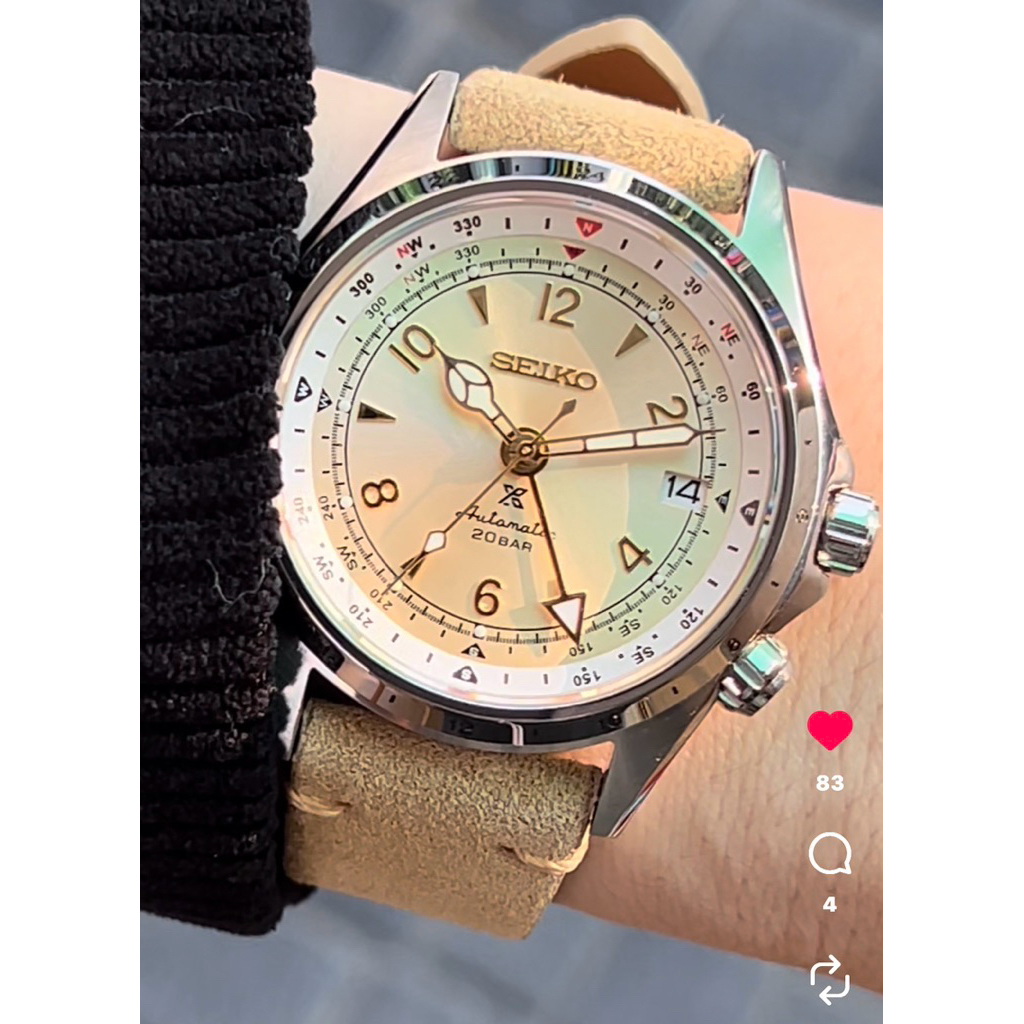 GMT Alphinist (Watch modify)