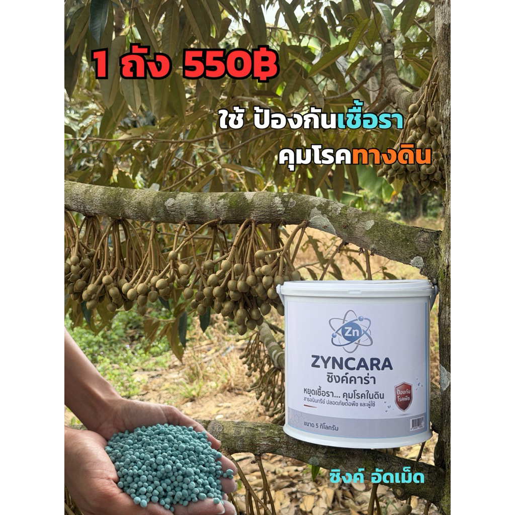 ซิงค์ คาร่า คุมโรคทันใจ ไม่ต้องรอ 1 ถัง น้ำหนัก 5 กิโล (จำนวน 1 ถัง )
