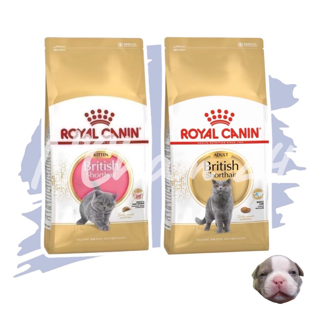 Royal Canin British Shorthair สูตรแมวโตและลูกแมว 10 Kg