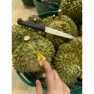 ทุเรียนหมอนทอง รับประกันเนื้อทุกลูก 1-1.3 โล