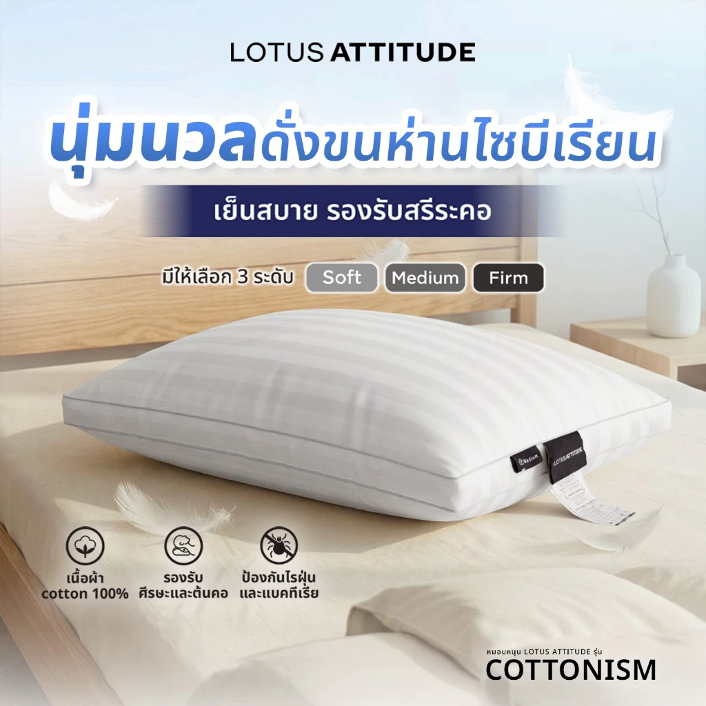 LOTUS ATTITUDE หมอนหนุนรุ่น Cottonism Pillow เย็นสบาย ลดภูมิแพ้ รองรับสรีระคอ ส่งฟรี