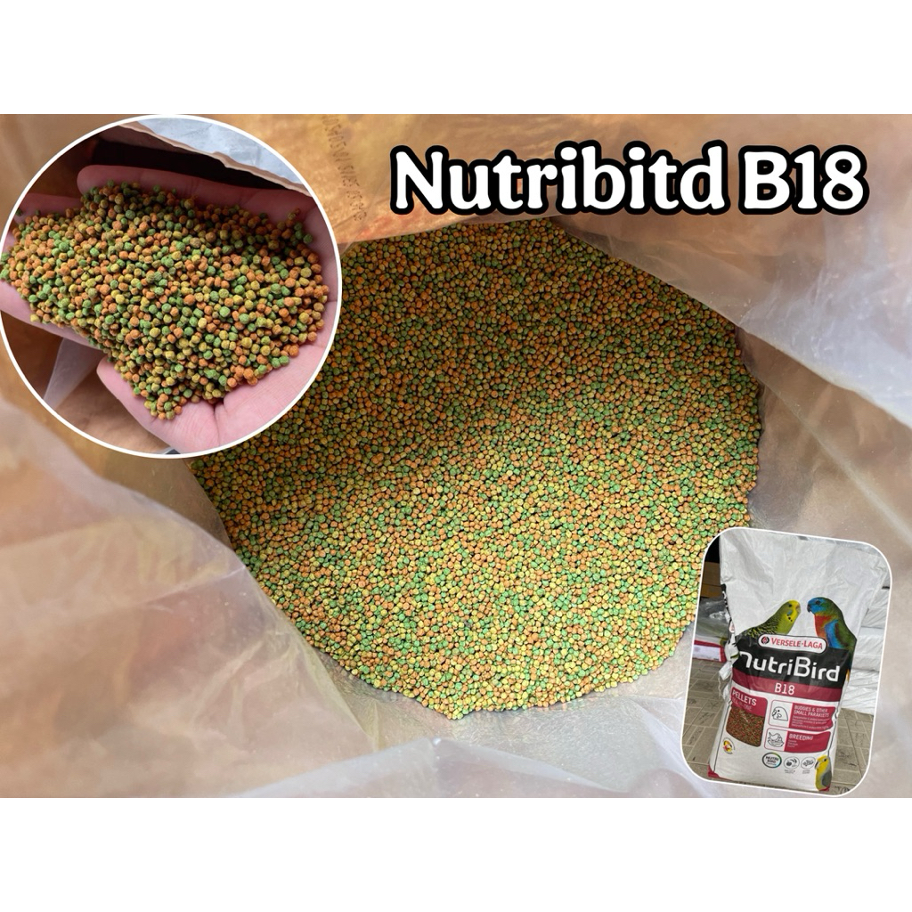 💥Nutribird B18 ขายดี แบ่งขาย300g 500g 1กิโล