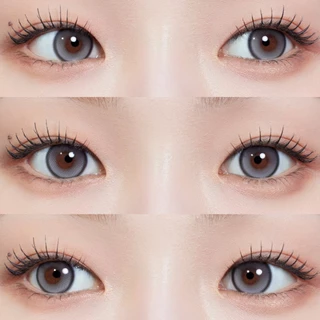 [ของแท้💯 5 คู่ ] MYFiPN เลนส์ไม่หมุน รุ่น BIV VENTI FIXING - CHARCOAL (1DAY) 🧸 คอนแทคเลนส์รายวัน นำเข้าจากเกาหลี 🇰🇷