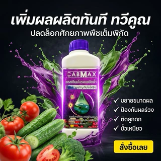 ชุดขายดี เซตบำรุง เร่ง ชุดบำรุงพืชผลขายดี (CabMax 1 ขวด + VaMax 1 ขวด +zenmax 1 ขวด)ถูกใจเกษตร