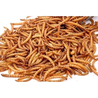 หนอนนก อบแห้ง ขนาด​70g​คัดไซค์ไหญ่