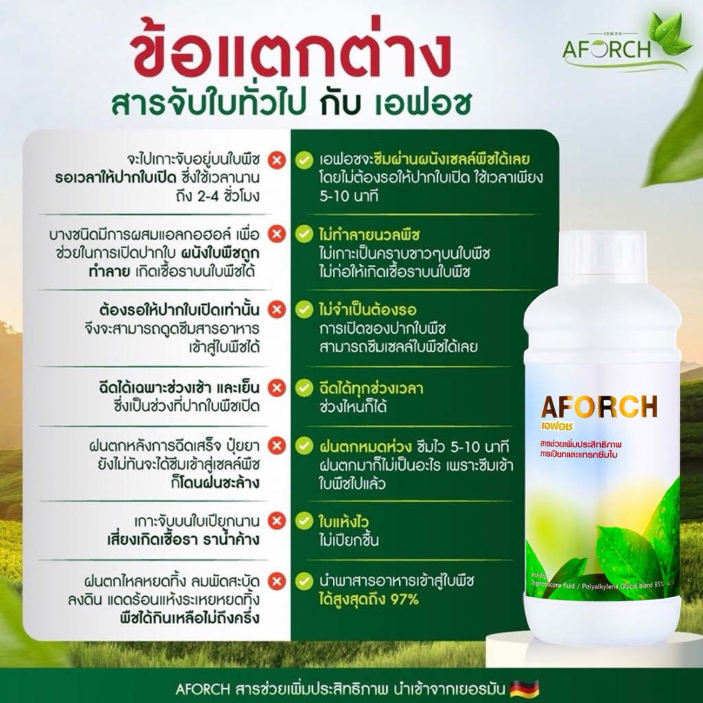 เอฟอช AFORCH สารจับใบ สารนำพา ขนาด 1,000 ซีซี ไม่ทิ้งสารตกค้าง ดูดซึมทันที ช่วยประหยัดค่าปุ๋ย ราคา ถูกที่สุด ดีลบีเคเค แกลเลอรีภาพที่ 7