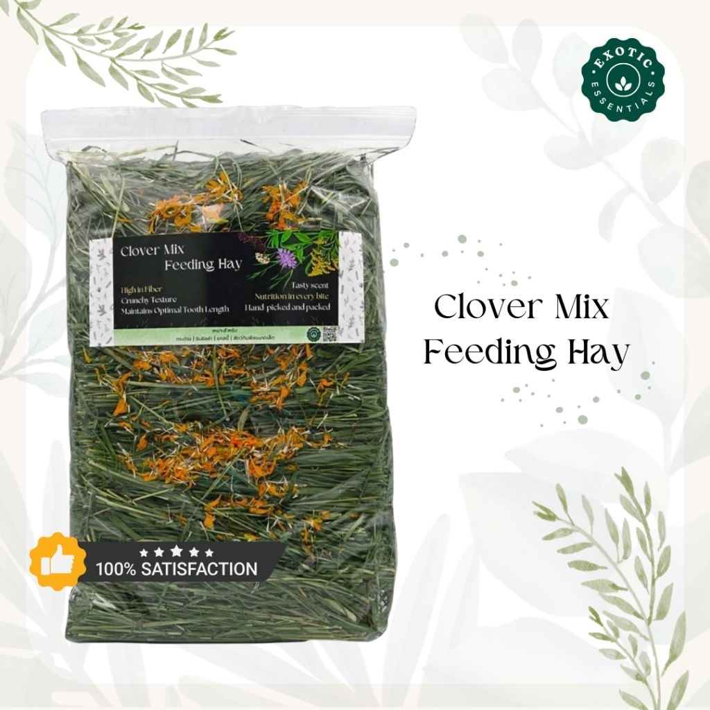 Exotic Essentials 🌿Clover Mix Feeding Hay หญ้าผสมดอกไม้ สำหรับกระต่าย ชินชิลล่า แกสบี้ แพรรีด็อก