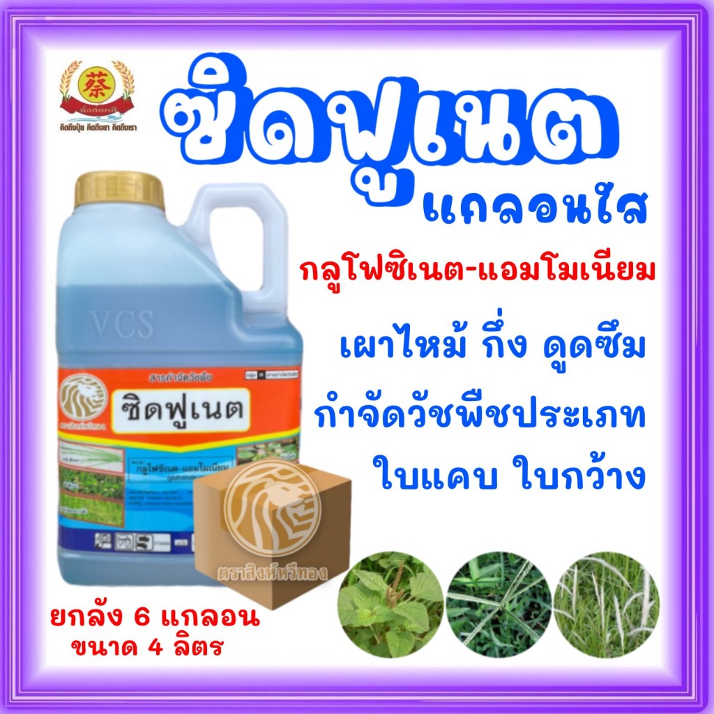 ซิดฟูเนต แกลอนใส(กลูโฟซิเนต-แอมโมเนียม)  * ยกลัง6แกลอน *  ส่งฟรี