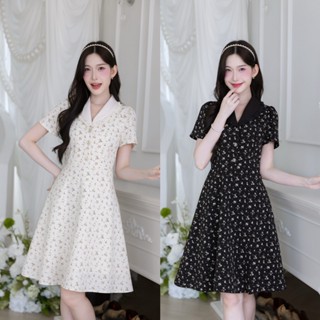 513-03-04คอปกขอบลูกไม้ครีมและดำ