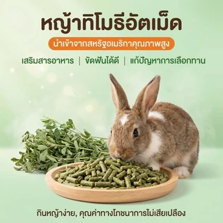 PETLUSCI® หญ้าอัลฟาฟ่าอัดเม็ด 500ก กัดฟันและทําความสะอาดฟัน ดูแลระบบย่อยอาหาร ลดกลิ่นไม่พึงประสงค์