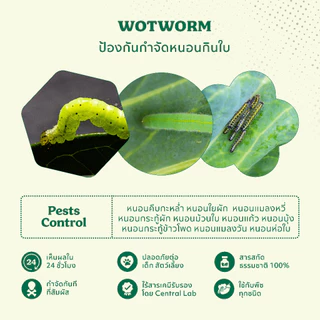 วอทเวิร์ม (Wotworm) 500 ml สารสกัดควบคุมหนอนผีเสื้อ หนอนใยผัก หนอนกระทู้ หนอนคืบ หนอนกินใบกุหลาบ เวิร์มเทค เอสวี SV