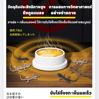 กินคำเดียว ตายยกบ้าน! ยาจิ้งจก ยาฆ่าจิ้งจก ไล่จิ้งจก ยาฆ่าตุ๊กแก ยากำจัดตุ๊กแก ฆ่าจิ้งจก