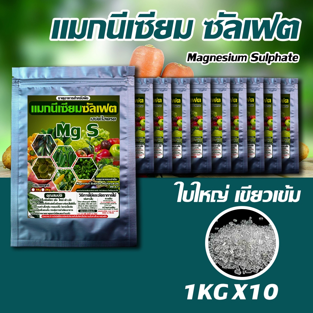 แมกนีเซียม ซัลเฟต ขนาด (1KgX10ถุง) : ใบเขียว เข้ม ใหญ่ ดำ สร้างคลอโรฟิลล์ สังเคราะห์แสงได้ดี
