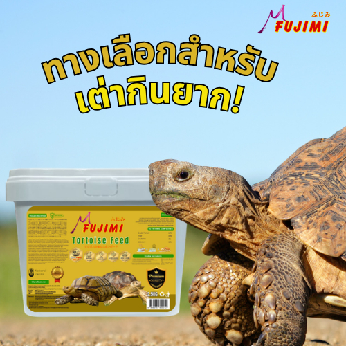 Fujimi อาหารเต่าบก สูตร Natural Chitin + Antimicrobial Peptide 100%