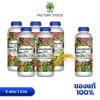 อะมิโนมิค ตราเทพมงคล แพ็ค 5 แถม 1 ขวด อาหารเสริมพืชทางใบ ชนิ…