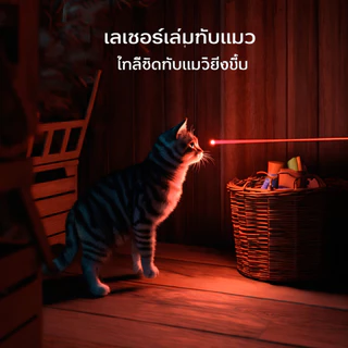 PHILIPS ไฟฉาย UV 395nm ตรวจธนบัตร ตรวจเชื้อราแมว เลเซอร์ล่อแมว ชาร์จ Type-C ตัวแทนเรืองแสง ไฟฉายสีม่วง SFL2091