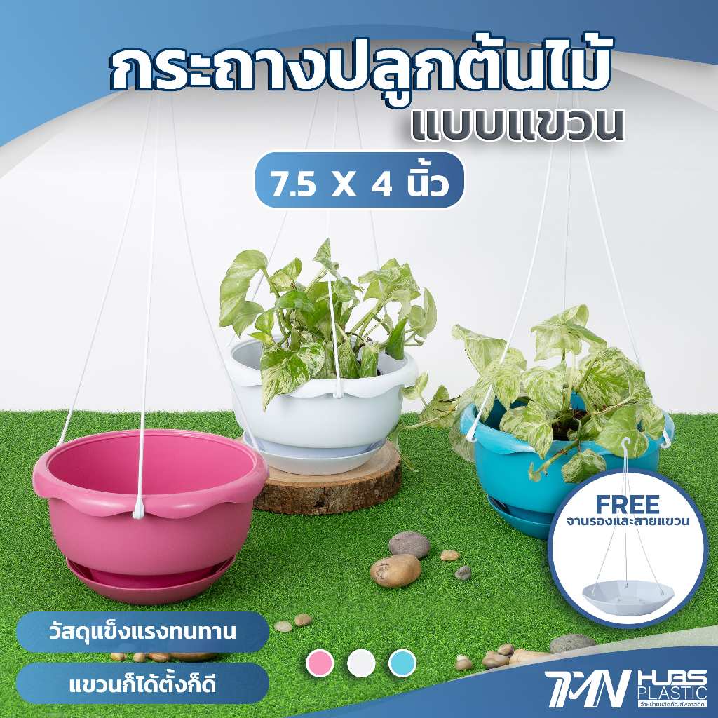 กระถางต้นไม้พลาสติกแบบแขวน พร้อมจานรอง มี 3 สี ขนาด  7.5 นิ้ว ราคาถูก ราคาโรงงาน กระถางต้นไม้