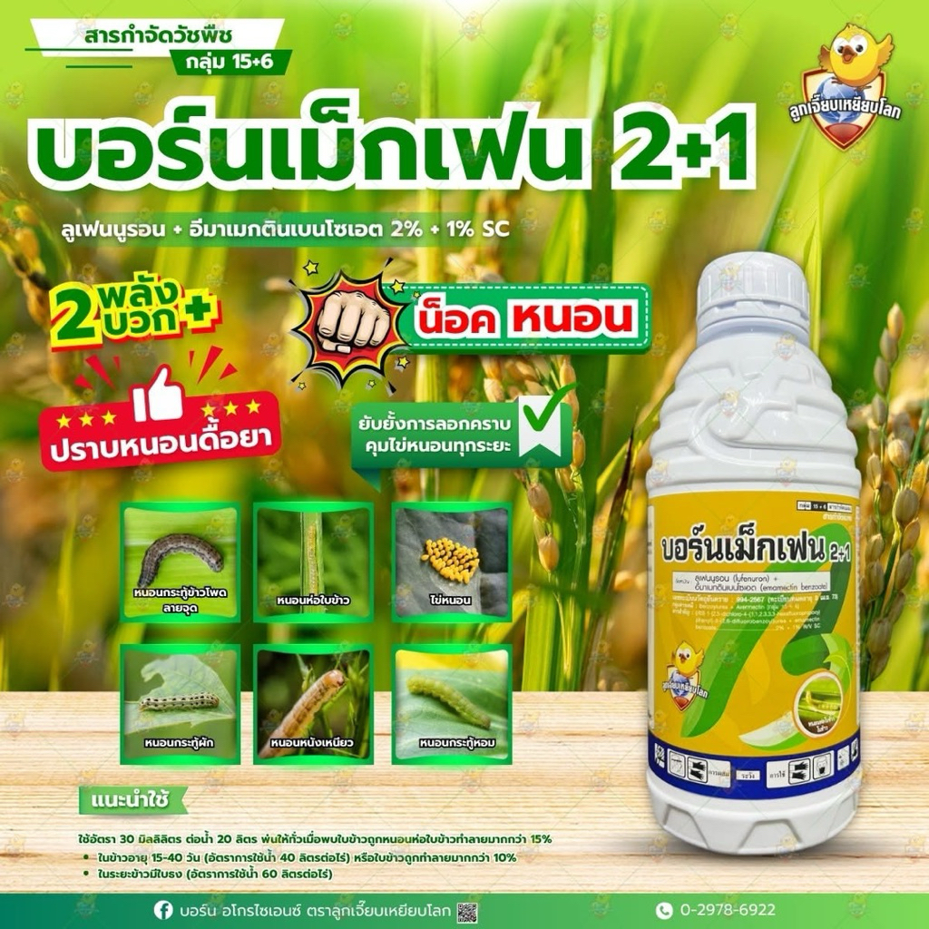 สารกำจัดแมลง "บอร์นเม็กเฟน 2+1"  ชื่อสามัญ ลูเฟนนูรอน + อีมาเมกตินเบนโซเอต 2% + 1% SC
