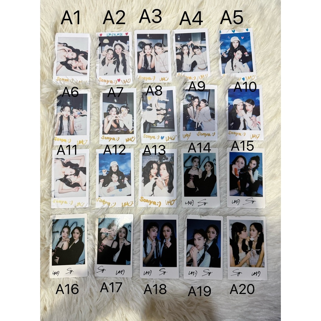 การ์ด ลูกหมีซอนญ่า LMSY card official