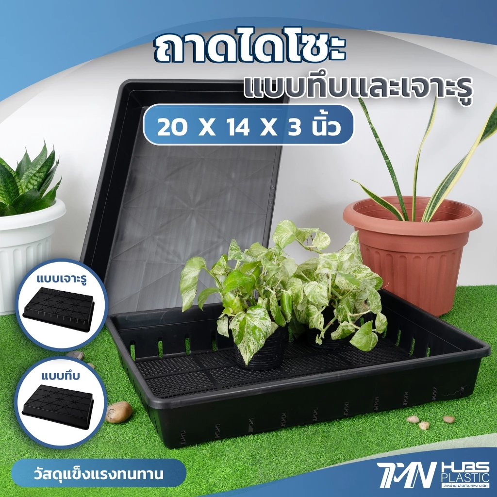 ถาดไดโซะแบบ ทึบ และ เจาะรู ถาดเพาะเมล็ด แยกกล้า ชำหน่อ กว้าง20x ยาว14xสูง3นิ้ว ถาดปลูกต้นไม้TMN_Hubs