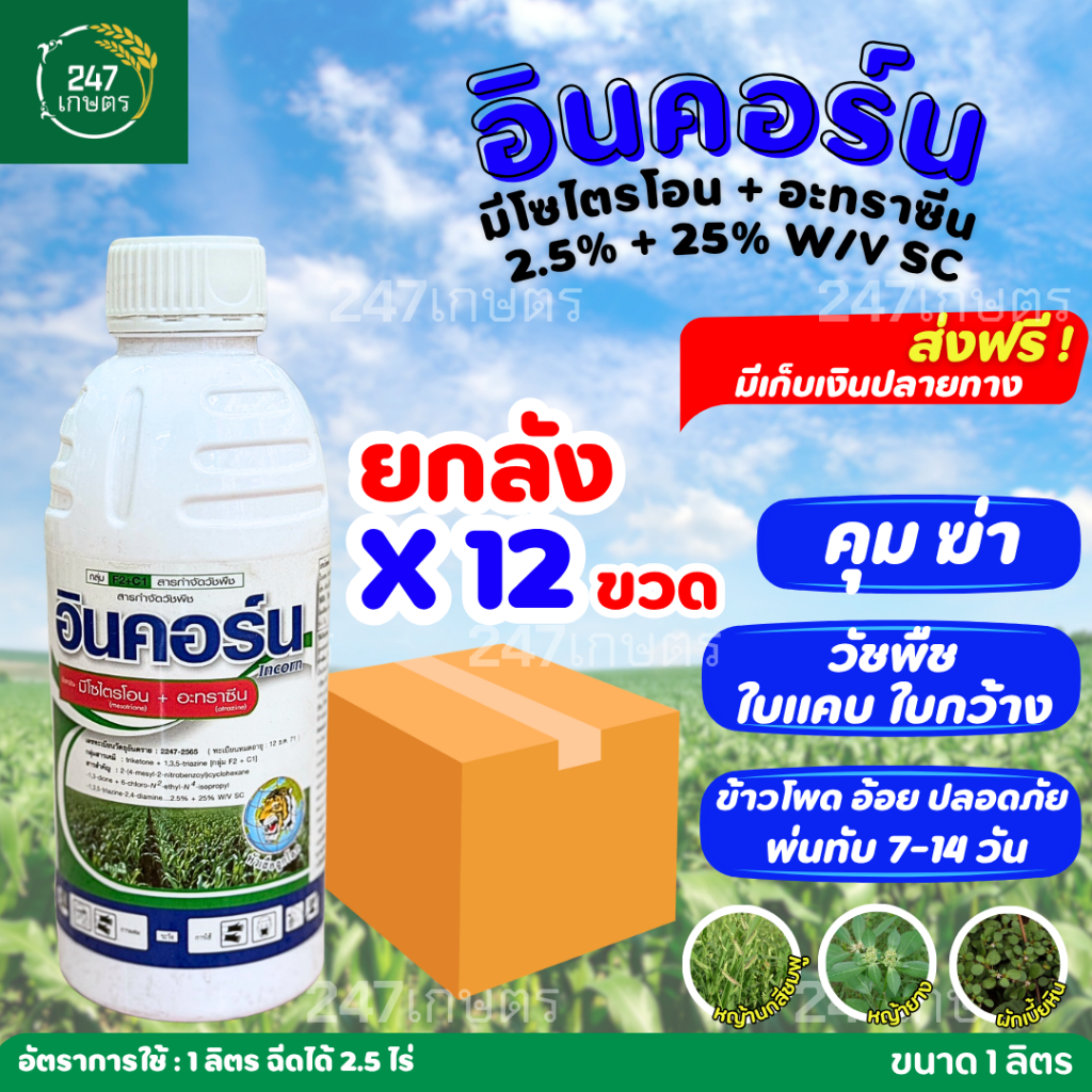 **ยกลัง12ขวด**อินคอร์น 1 ลิตร (มีโซไตรโอน+อะทราซีน) คุมฆ่าหญ้า 3-5ใบ ในข้าวโพด อ้อย ฉีดทับได้ 2.5-3 ไร่