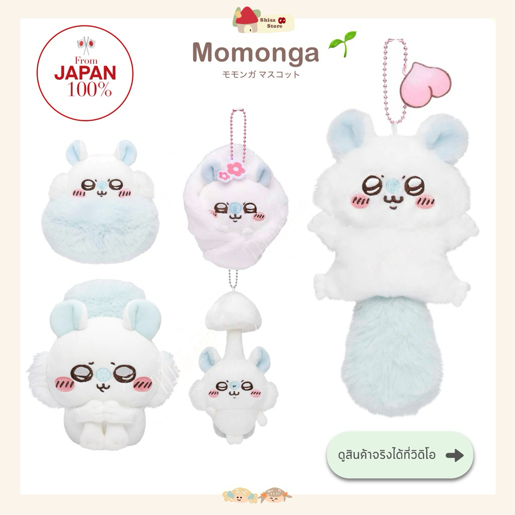 🌱พร้อมส่ง Momonga โมมงกะบิน จากญี่ปุ่น🇯🇵แท้💯