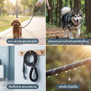 wen.W2 Leash สายจูงสุนัขแบบสะท้อนแสง หลายสี สายกลมทนทาน สำหรับสุนัขทุกขนาด สินค้าสัตว์เลี้ยง