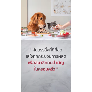 [24กระป๋อง] Felina Canino Cat อาหารแมวเปียก บรรจุกระป๋อง 70g