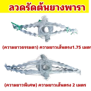 ลวดรัดต้นยางพารา ลวดหยักฟันปลาเบอร์ 12/13/14 มีทั้งความยาวปกติและความยาวพิเศษให้เลือก (มัดละ 100 เส้น)รับน้ำหนักได้ดี