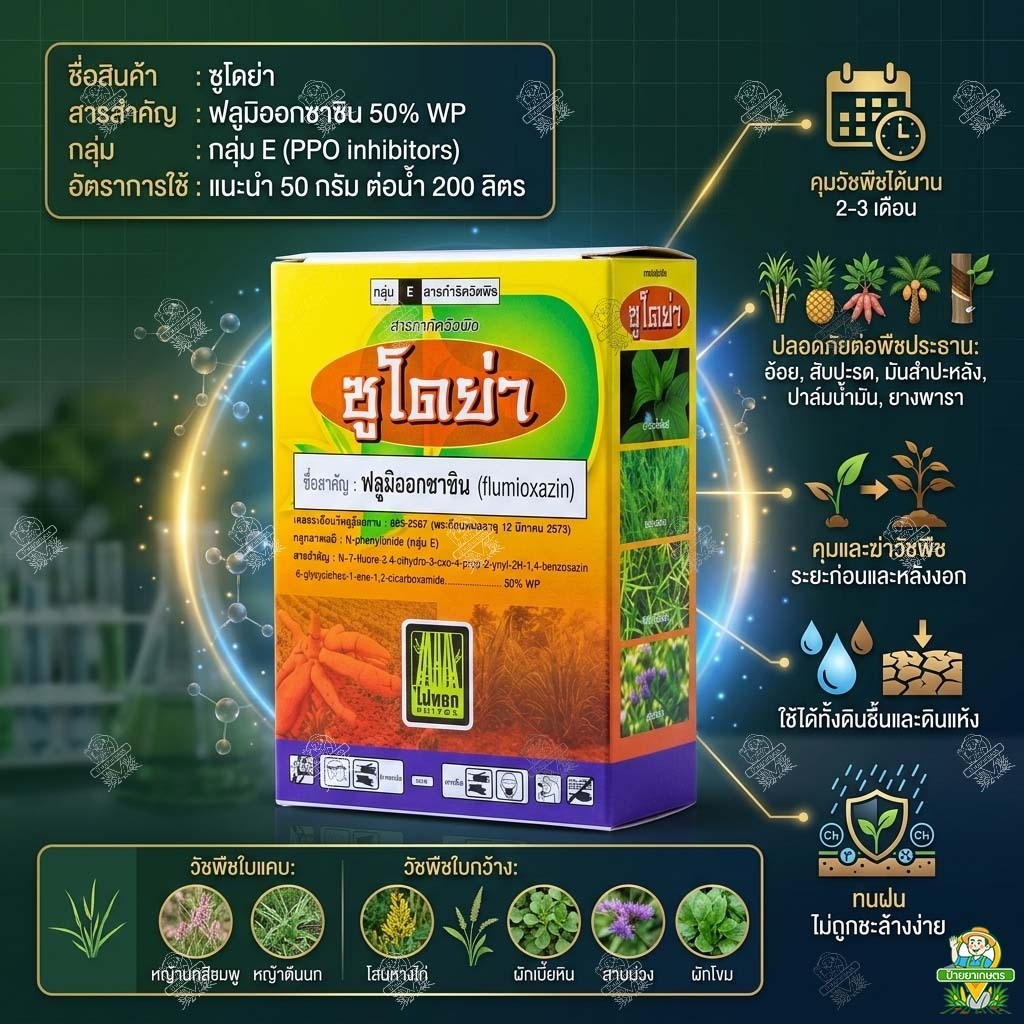 ซูโดย่า 50 กรัม (ฟลูมิออกซาซิน 50% WP) กำจัด-คุมวัชพืช ใบแคบ ใบกว้าง ใช้แบบ ซูมิโซย่า คุมแห้ง ได้นาน