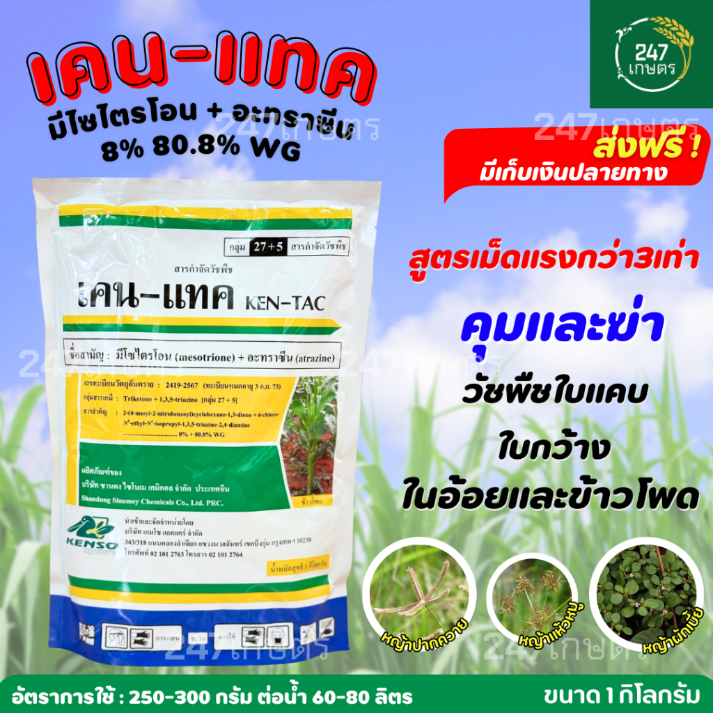 เคน-แทค 1 กก. (มีไซไตรโอน+อะทราซีน) คุมและฆ่า หญ้าในอ้อยและข้าวโพด สูตรเม็ดแรงกว่า 3 เท่า