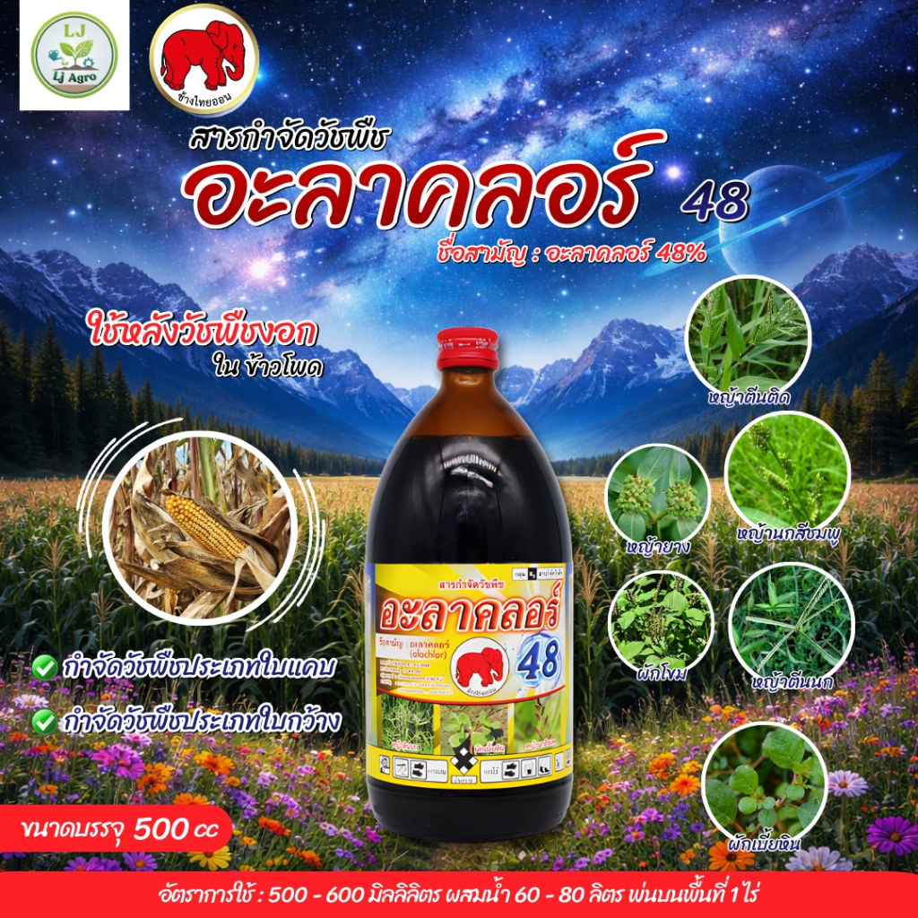 อะลาคลอร์ 48 ขนาด 500 ซีซี ใช้ก่อนวัชพืชงอก สำหรับวัชพืชใบแคบและใบกว้าง (ไทออน) #แอลเจอะโกร