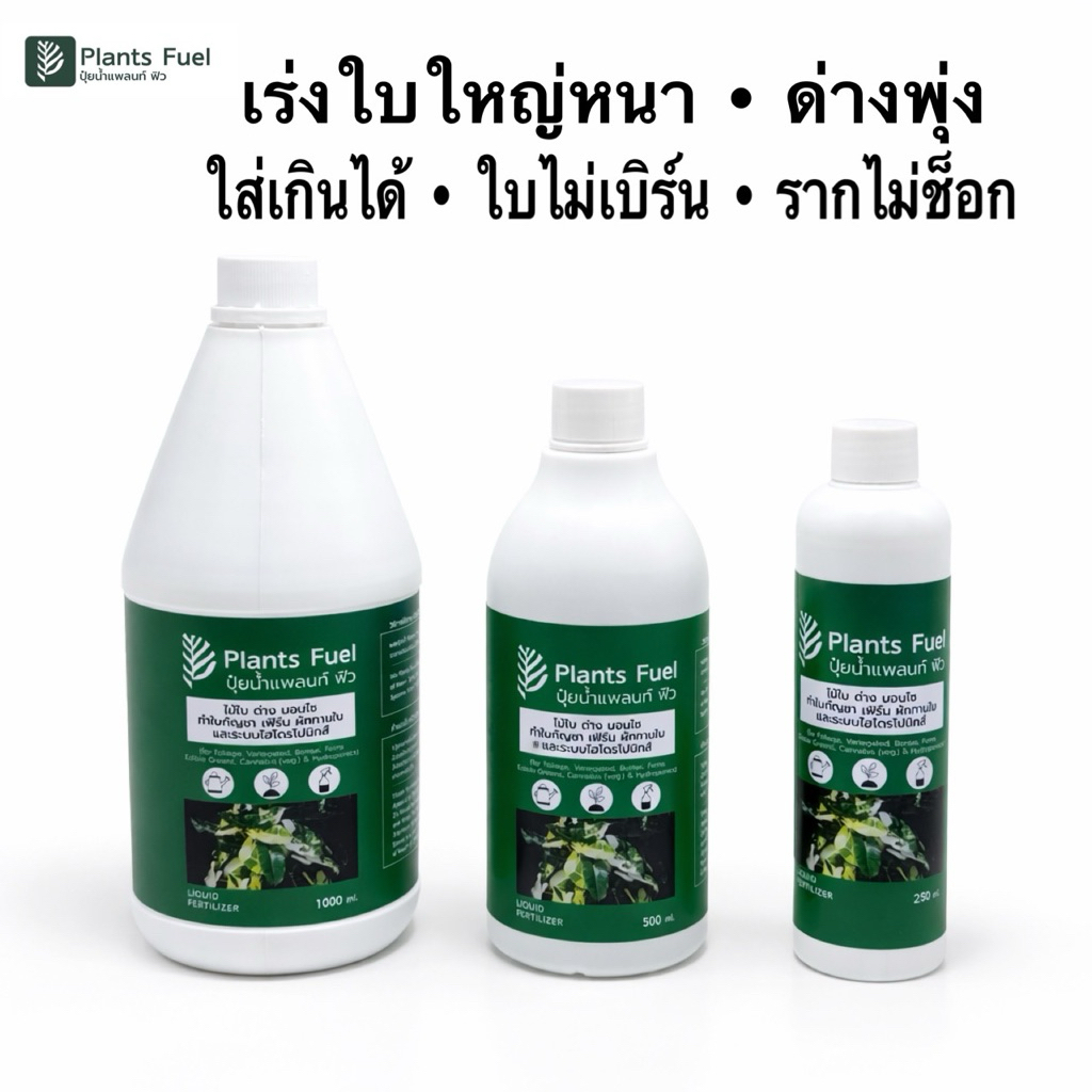 ปุ๋ยไม้ใบไ ม้ด่าง Plants Fuel เร่งใบใหญ่หนา ด่างพุ่ง สีชัด ใส่เกินใบไม่เบิร์น รากไม่ช็อก สำหรับไม้ฟอกอากาศ บอนสี เฟิน