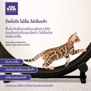Pau & Sun ล้อวิ่งแมว 122 ซม. Premium Cat Wheel ลู่วิ่งแมว อุปกรณ์ออกกำลังกายแมว เงียบ มั่นคง สำหรับบ้านและคอนโด