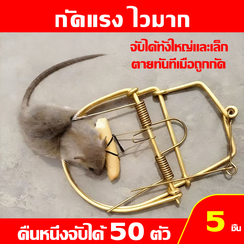 โดนแล้วหนีไม่หลุดรอด กับดักหนู คืนหนึ่งจับได้ 50 ตัว ที่ดักหนู ดักหนู กับดักหนู โมดิฟาย กับดักหนูนา กับดักหนูแบบสปริง