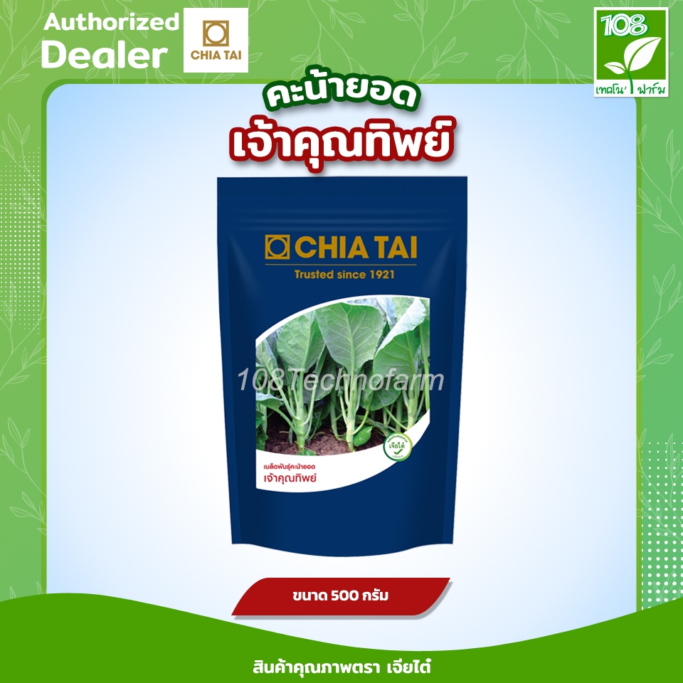 เมล็ดพันธุ์ คะน้าเจ้าคุณทิพย์ ตรา เจียไต๋ ( 500 กรัม )