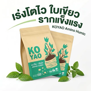 Koyao Humic สารปรับสภาพดิน ฟื้นต้นโทรม แก้ใบเหลืองใบไหม้ เร่งราก กระตุ้นแตกใบอ่อน ต้นสมบูรณ์ ใบเขียว