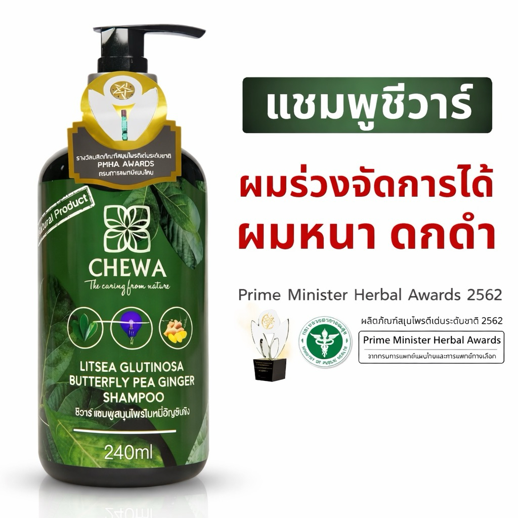 แชมพูชีวาร์ ใบหมี่อัญชันขิง "แชมพูแก้ผมร่วง" ชีวาร์CHEWA มีส่งด่วน‼️กทม.