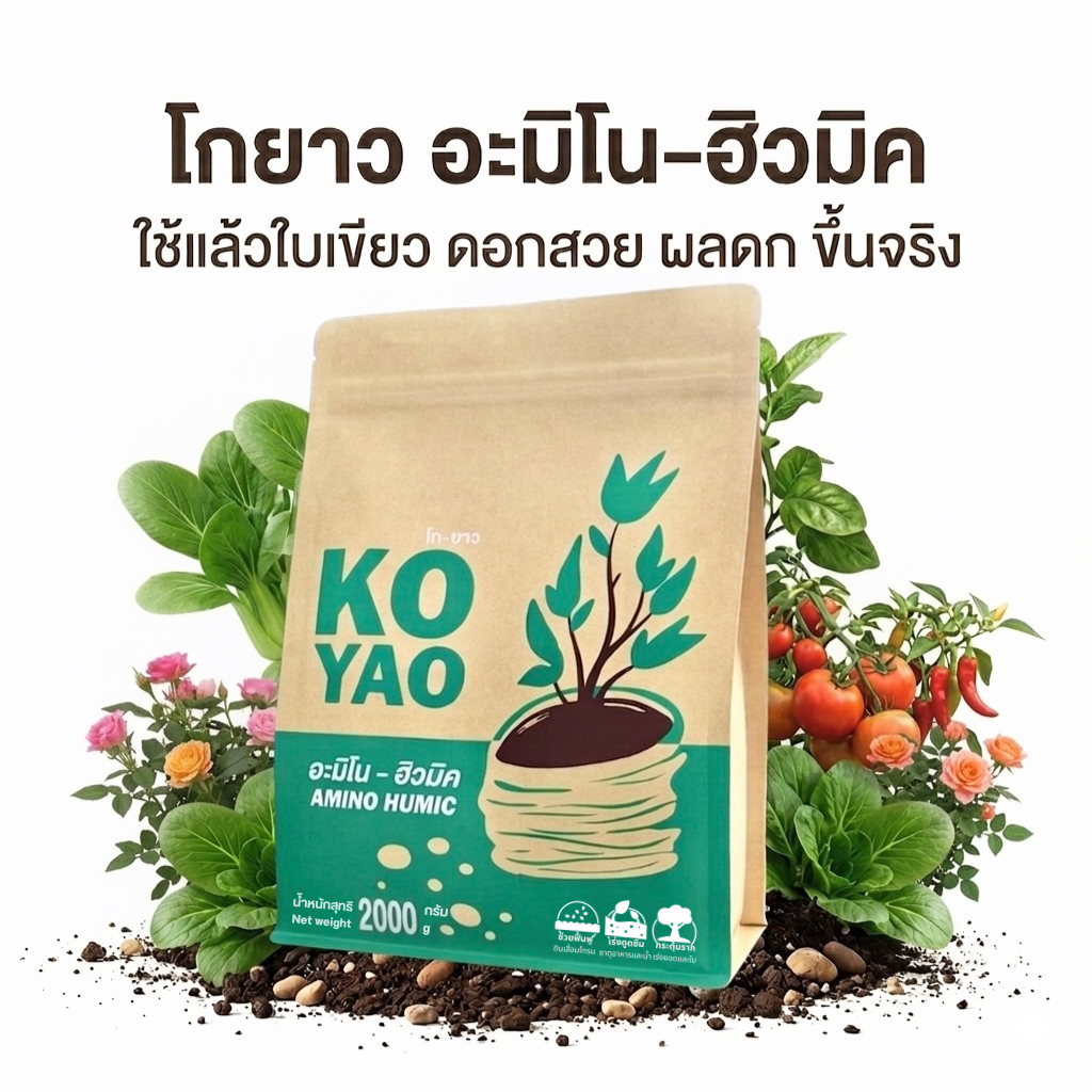 Koyao Humic สารปรับสภาพดิน ฟื้นต้นโทรม แก้ใบเหลืองใบไหม้ เร่งราก กระตุ้นแตกใบอ่อน ต้นสมบูรณ์ ใบเขียว